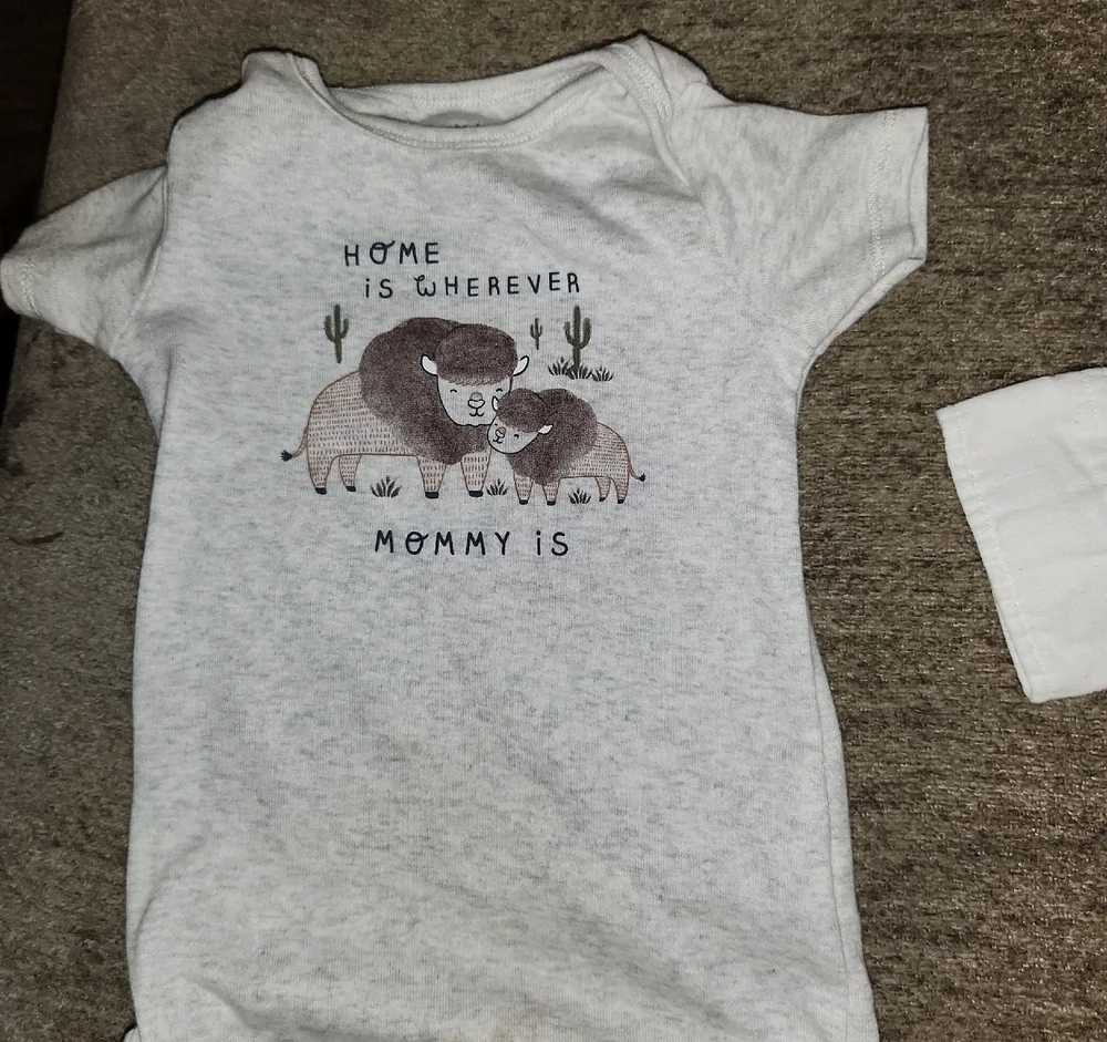 Carter's (2) Baby Onesies